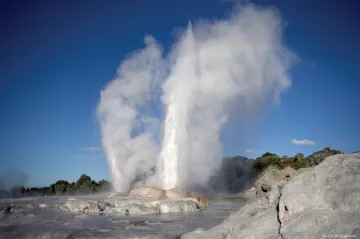 Budget-Friendly Things to Do in Rotorua Under $100